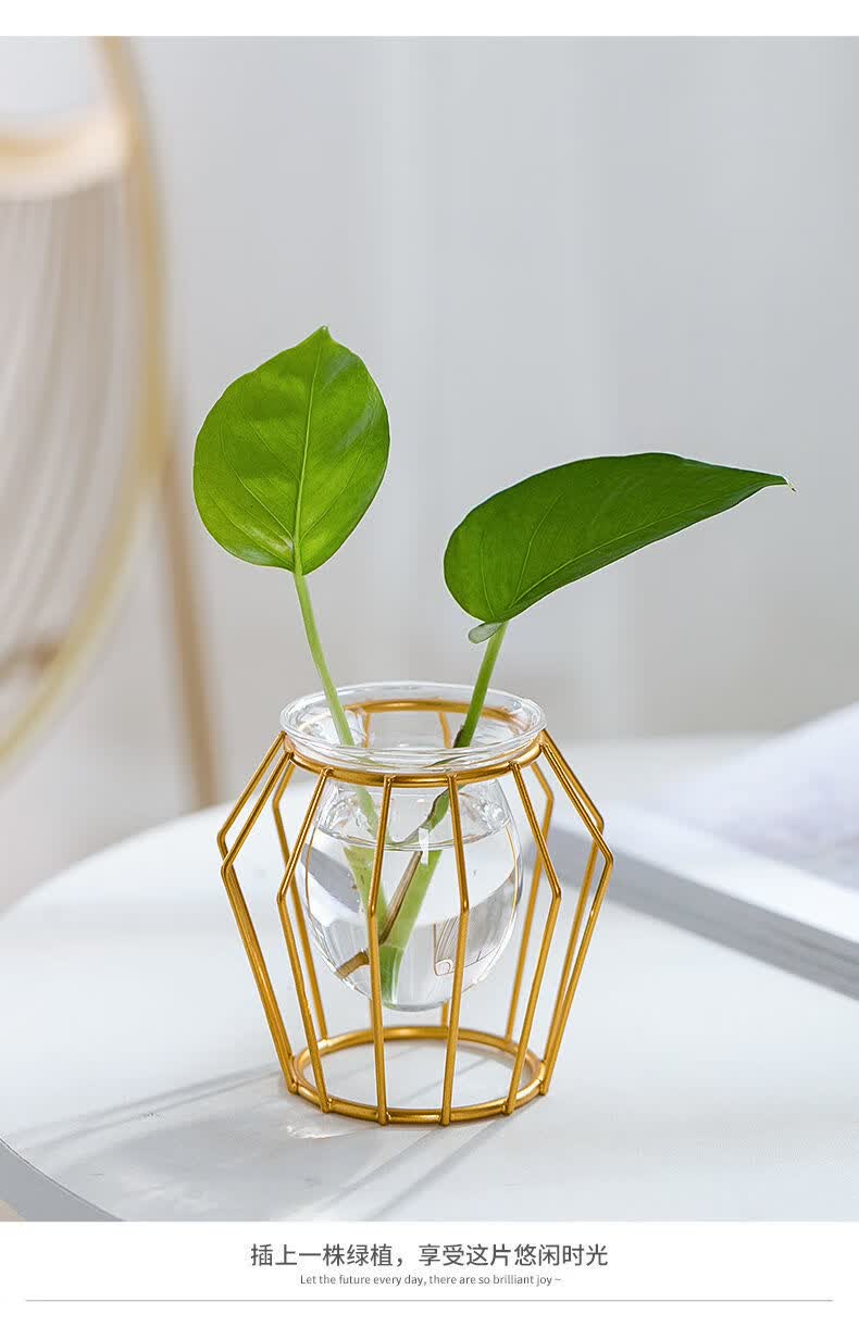 风信子水培植物花瓶创意水培容器透明玻璃瓶花盆插养花植物器皿金色