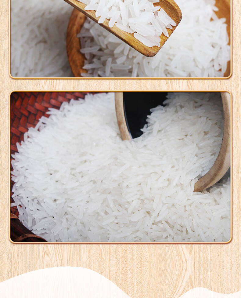 虾稻鲜米当季新米优质虾稻米长粒香米礼盒装5kg