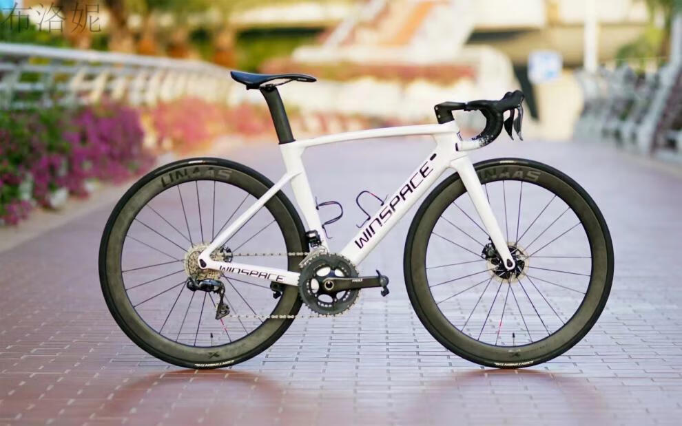 银贝斯公路车d 银贝斯公路碟刹 碳纤维车架组 全内走 可选配一体把 t