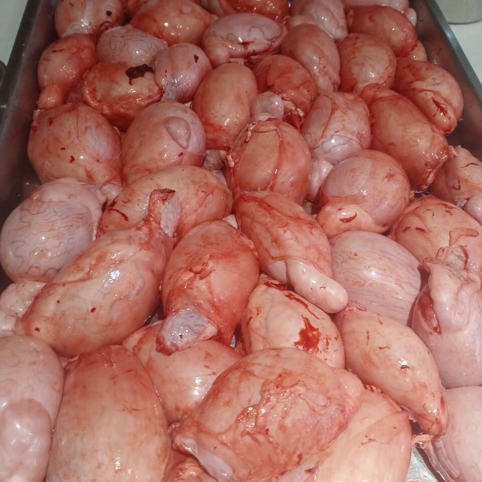 新鲜现取山羊蛋羊宝羊睾丸羊生殖器烧烤食材补品男人补品 4斤新鲜羊宝