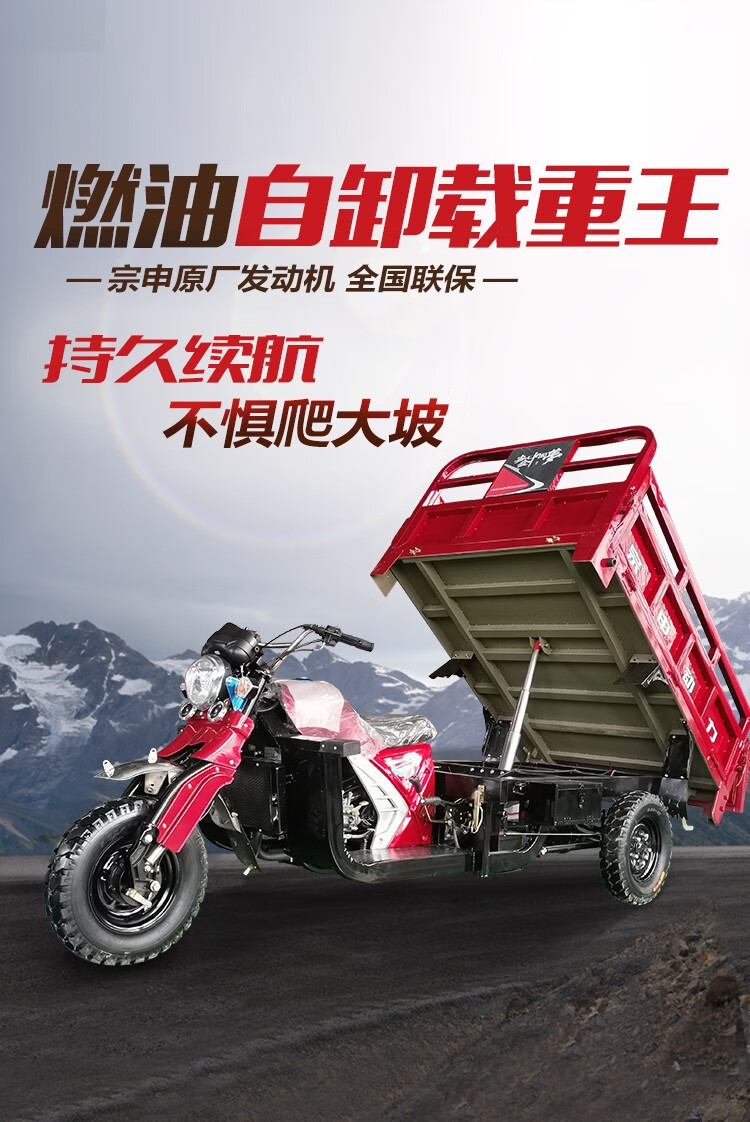 车燃油发动机自卸可上牌货运摩托三轮车宗申动力 宗申200水冷自卸1