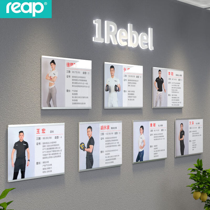 贴墙磁性展示牌形象墙教练免打孔内页设计及打印按客户需求a4297210mm