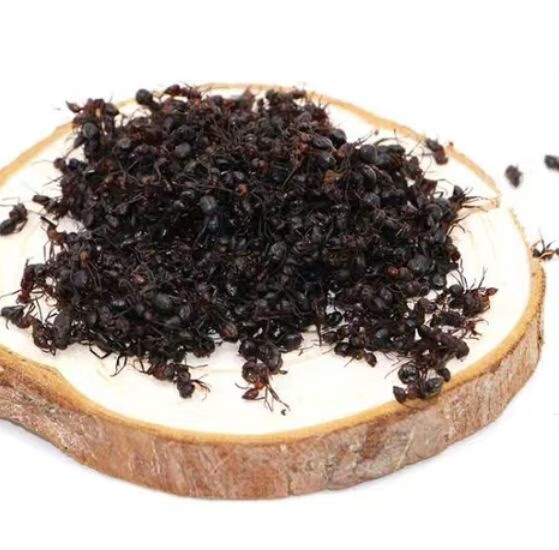 东北长白山蚂蚁红蚂蚁干食用红蚂蚁新货无硫熏红蚂蚁 500克(一斤)