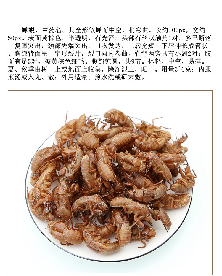 中药材野生蝉蜕100g蝉脱金蝉衣金蝉壳蝉皮蝉壳蝉衣知了皮知了壳