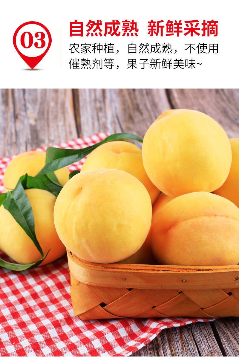 现摘正宗山东锦绣黄桃纯甜毛桃新鲜桃子当季水果脆甜水蜜黄桃批发