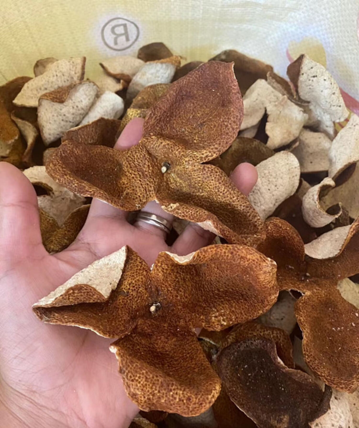 正宗广东新会10年老陈皮2021年新会青皮柑新鲜果皮干大红桔橘子皮2021