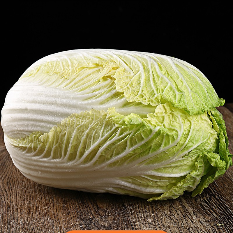 新鲜直达2021年山东特产大白菜新鲜食材火锅食材净重约273斤左右