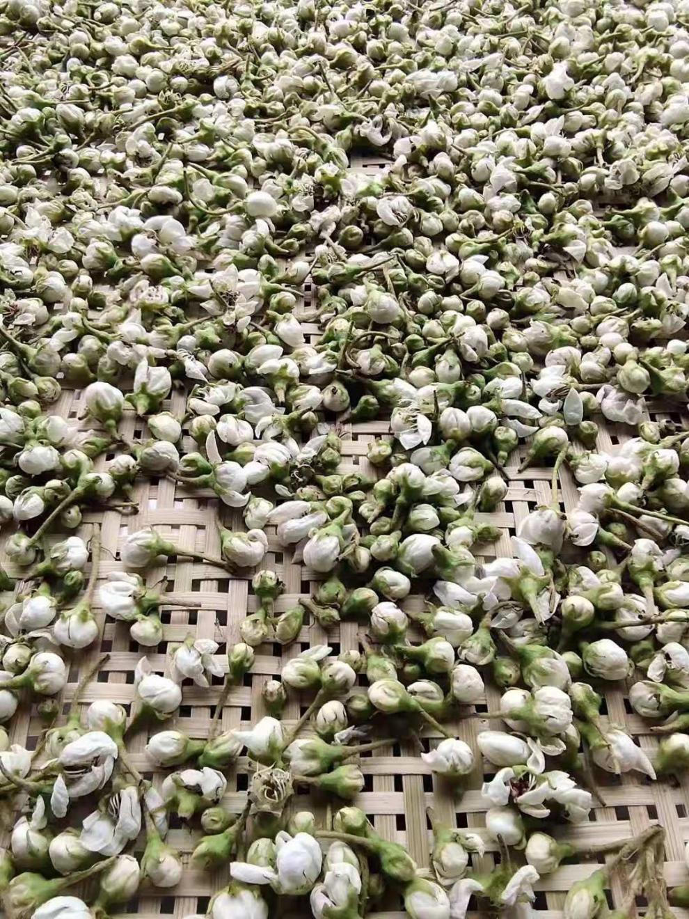 伟博中材 干梨花 泡水喝的梨花茶 50克 50g【图片 价格 品牌 报价】