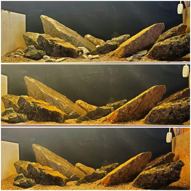 溪流原生缸造景溪流石天然鹅卵石鱼缸造景组合石头套餐三湖慈鲷70cm