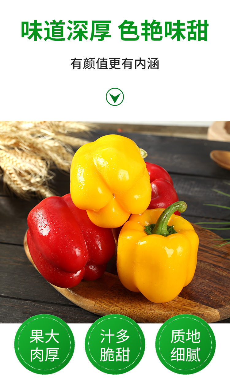 七彩椒新鲜蔬菜灯笼椒甜辣椒红黄绿水果甜圆椒太空彩椒1斤5斤绿彩椒五