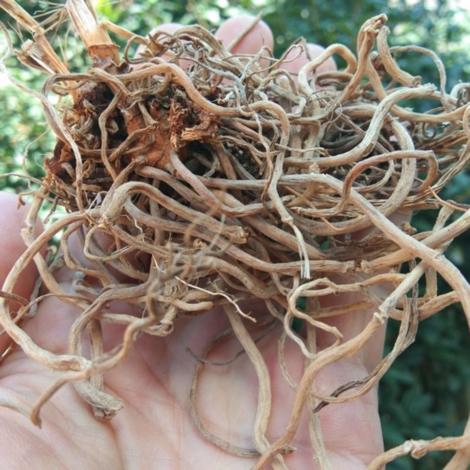 伟博贵州中药材百尾笋干货百味笋根万寿竹叶参倒竹伞宝铎草500克500g