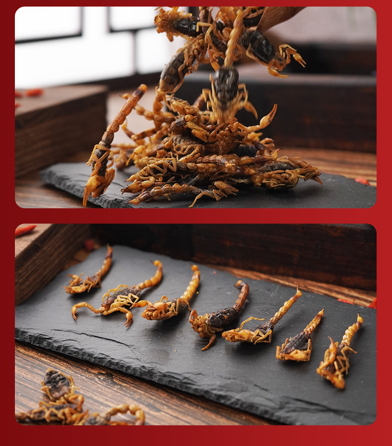 虫小沐全蝎干中药材全蝎中药蝎子干中药全虫干清水盐水干货粉蝎子尾生