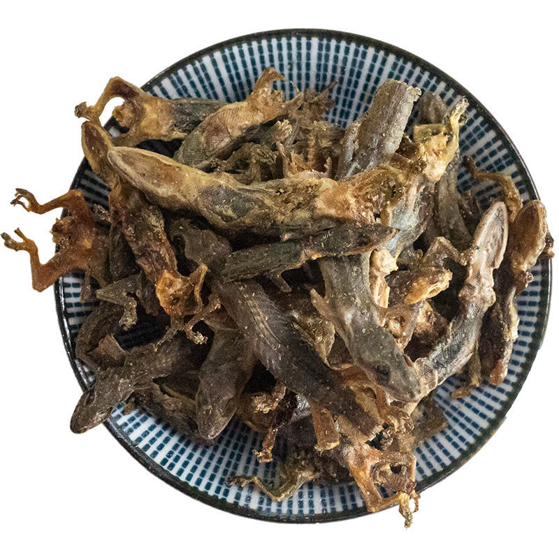 伟博云南天龙中药材守宫天龙精选天龙干活壁虎开膛天龙20条