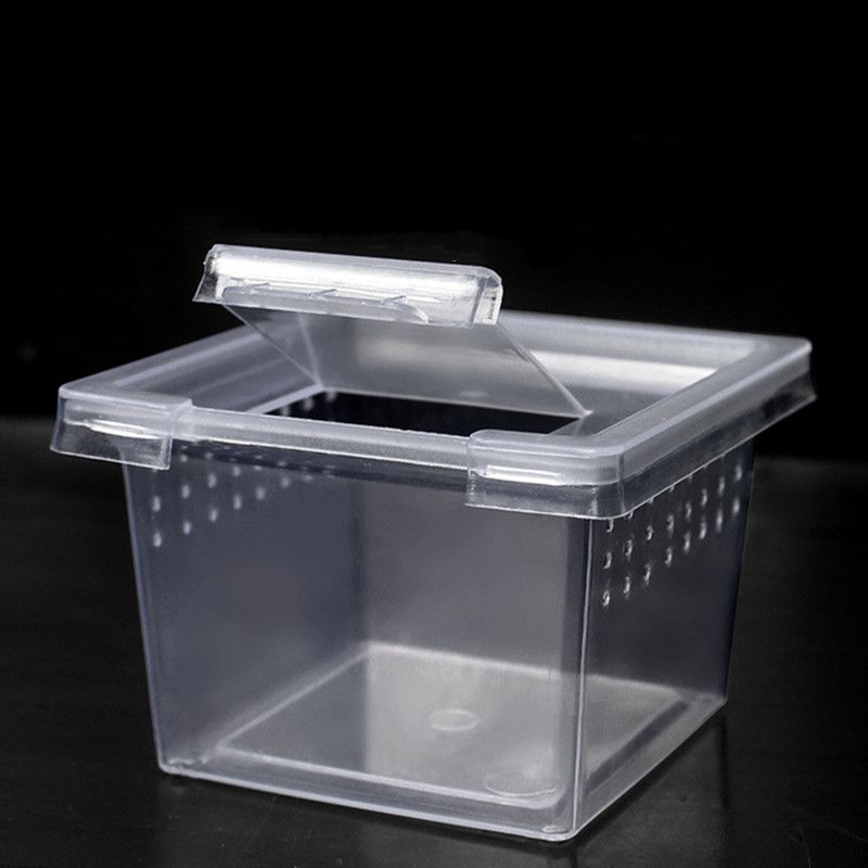 养蚕盒子蚕宝宝饲养盒放大镜观察箱透气带孔小蚕分养盒蚕卵孵化盒h1