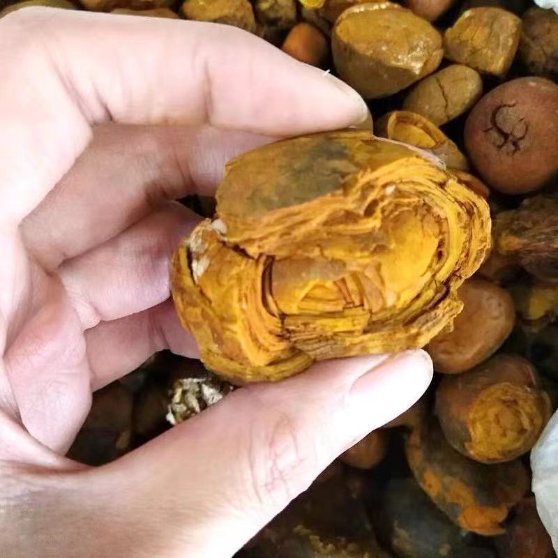 有仁堂牛黄牛黄正宗牛黄牛胆黄牛黄粉牛结石1克干货牛黄一克