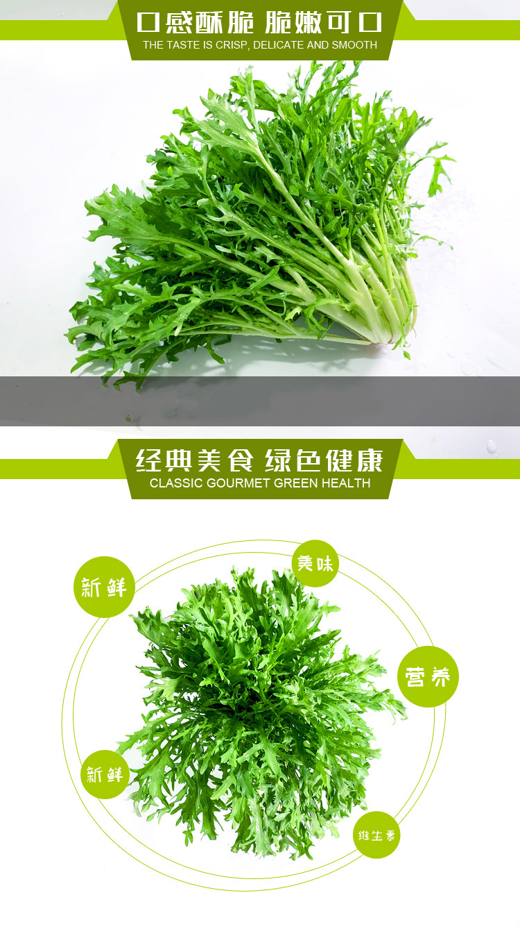 【全国可发】苦叶生菜 500g苦细叶苦菊狗牙菜苦苣 蔬菜沙拉食材【图片