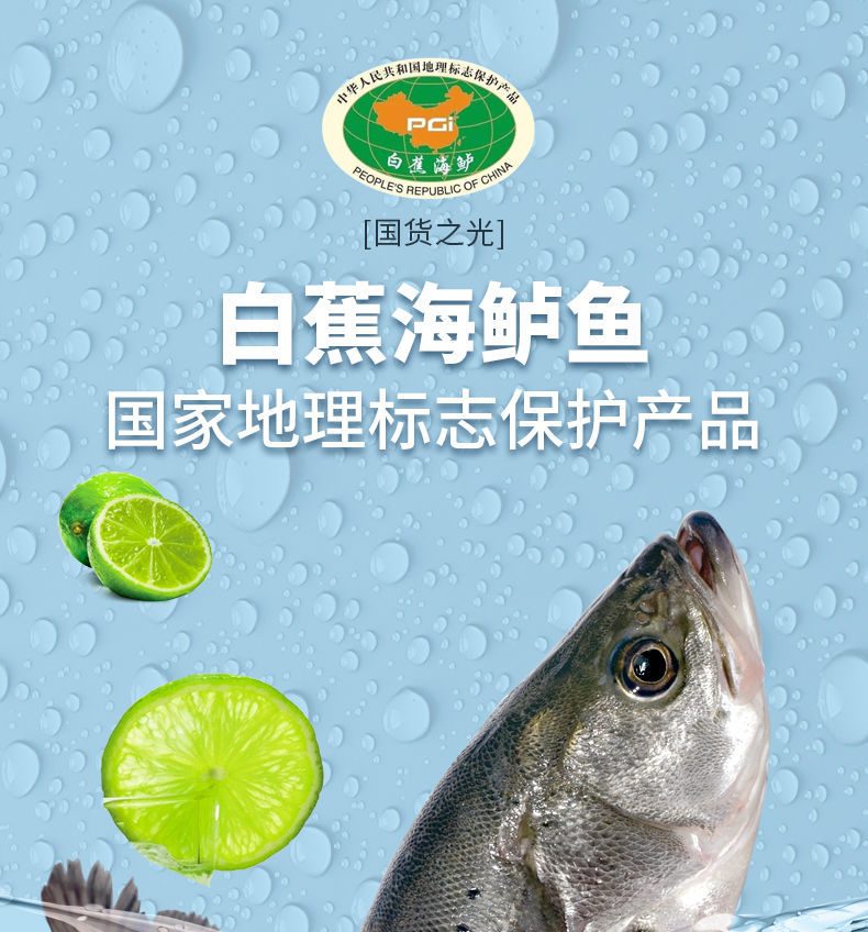 海鲈鱼整条三去开背珠海白蕉鲈鱼鲜活冷冻海捕鱼类海鲜烧烤鱼 350-400