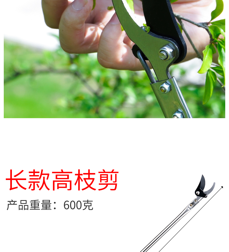 5米高枝剪【图片 价格 品牌 报价】-京东