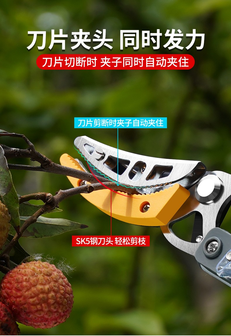 神器摘水果摘荔枝采摘神器采果杨梅果子树枝高枝剪伸缩高空剪摘果剪刀