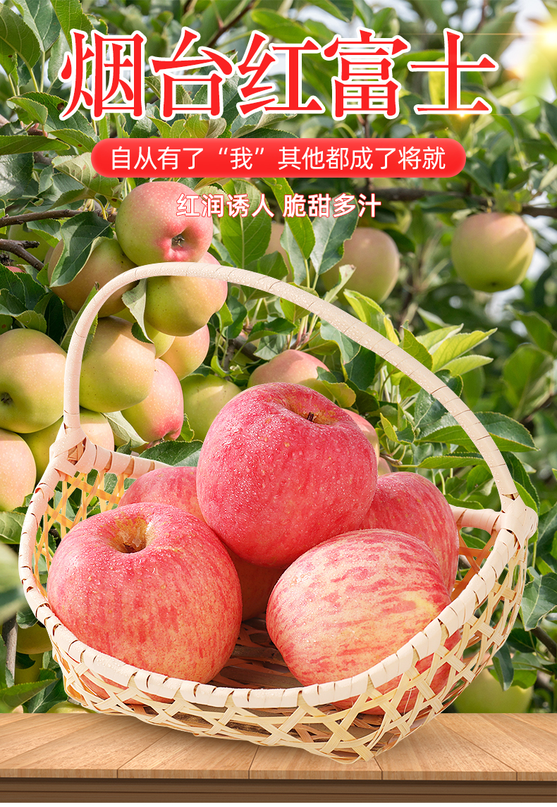 正宗山东烟台红富士苹果栖霞特产新鲜时令水果脆甜糖心脆甜丑苹果礼盒