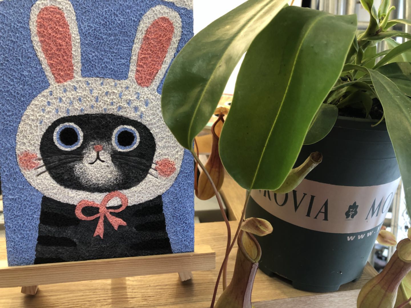 卡通动物纸浆画材料包打发时间手工diy9只猫咪立体创意礼物 带支架a5