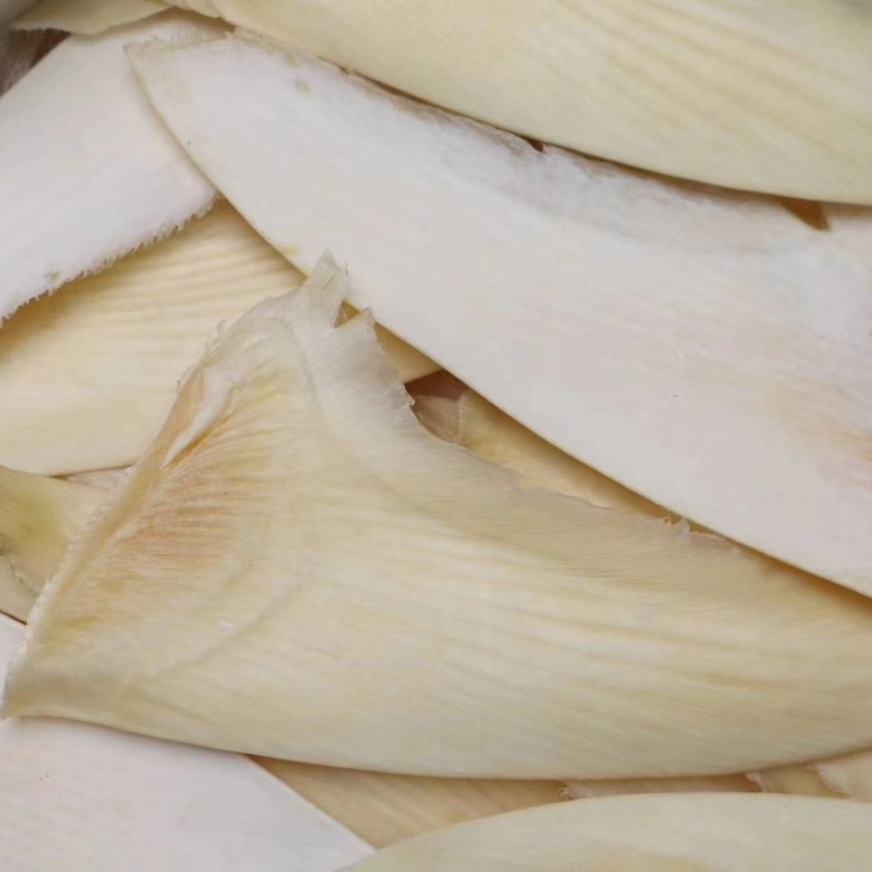 授权店铺 干货鱼翅乌羊骨翅鱼翅-寸热门鱼翅滋补美食足干家用餐饮食材