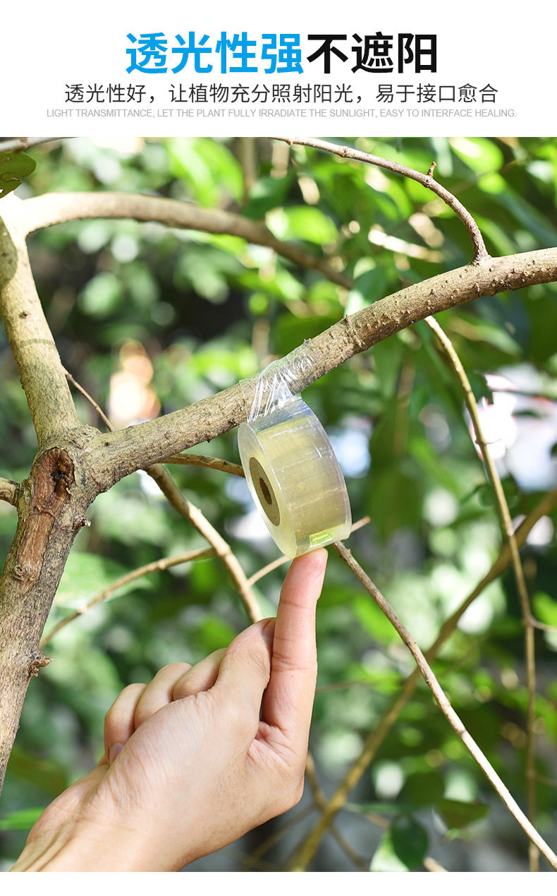 芊阙轻奢芊阙嫁接膜果树缠绕膜嫁接塑料薄膜自粘嫁接透明免打结拉伸膜