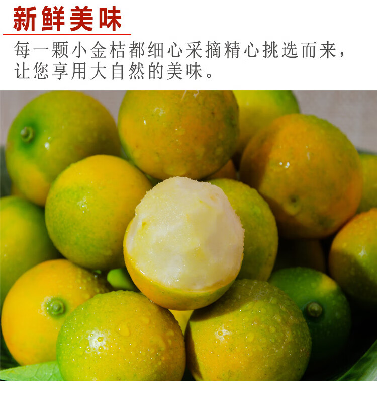 广西柳州融安金桔当季新鲜孕妇水果滑皮脆皮脆蜜金柑 脆蜜金桔(特大果