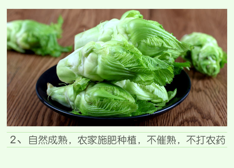 2021年四川新鲜儿菜南充菜大头娃娃菜抱母菜抱子芥菜当季蔬菜泡菜四川