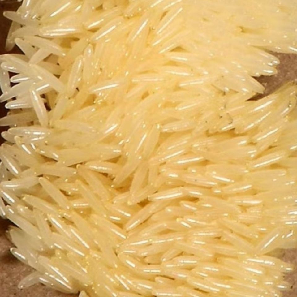 有仁堂黑水虻虫卵欢迎新老客户50克罐