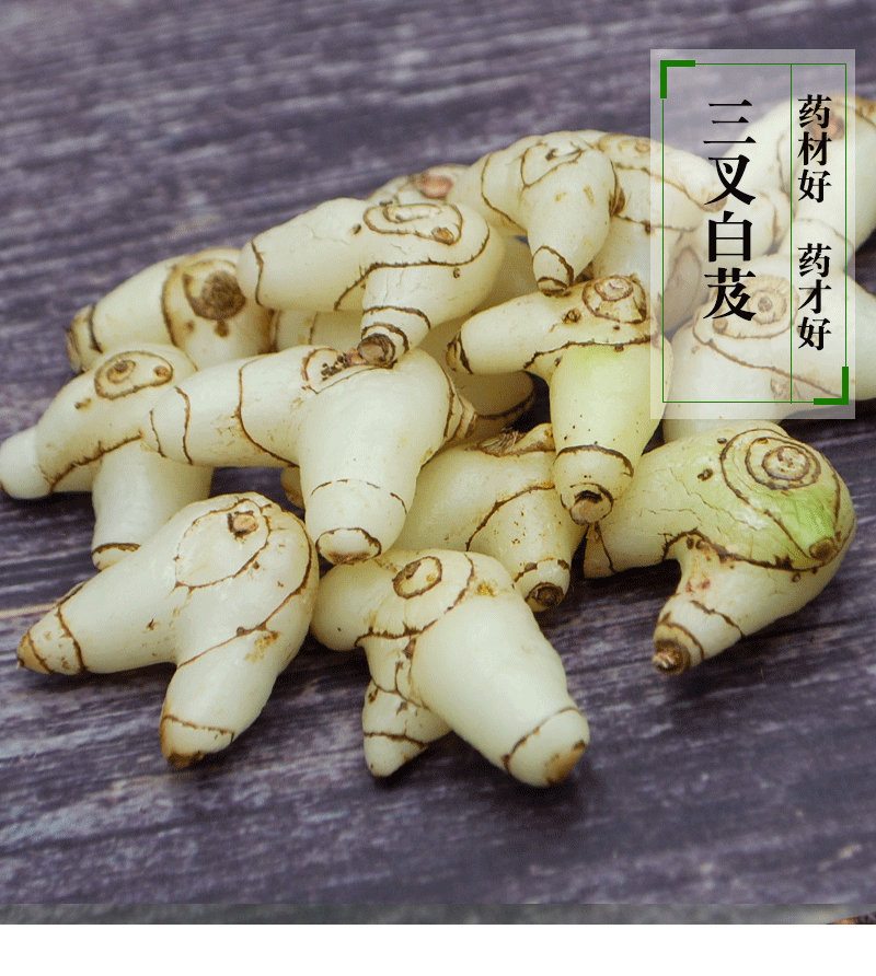 淳滋堂新鲜白芨贵州中药材用野生新鲜白芨白及中草药材