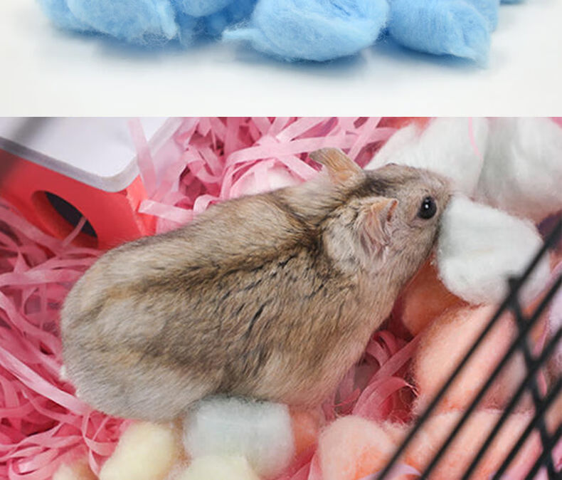 仓鼠保暖棉花鼠鼠御寒棉窝笼子小窝金丝熊温暖过冬用品彩色棉球200粒
