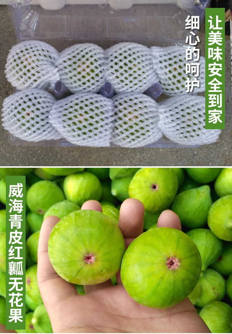 媚调无花果新鲜威海特产青皮无花果鲜果大果孕妇现摘新鲜水果4斤顺丰