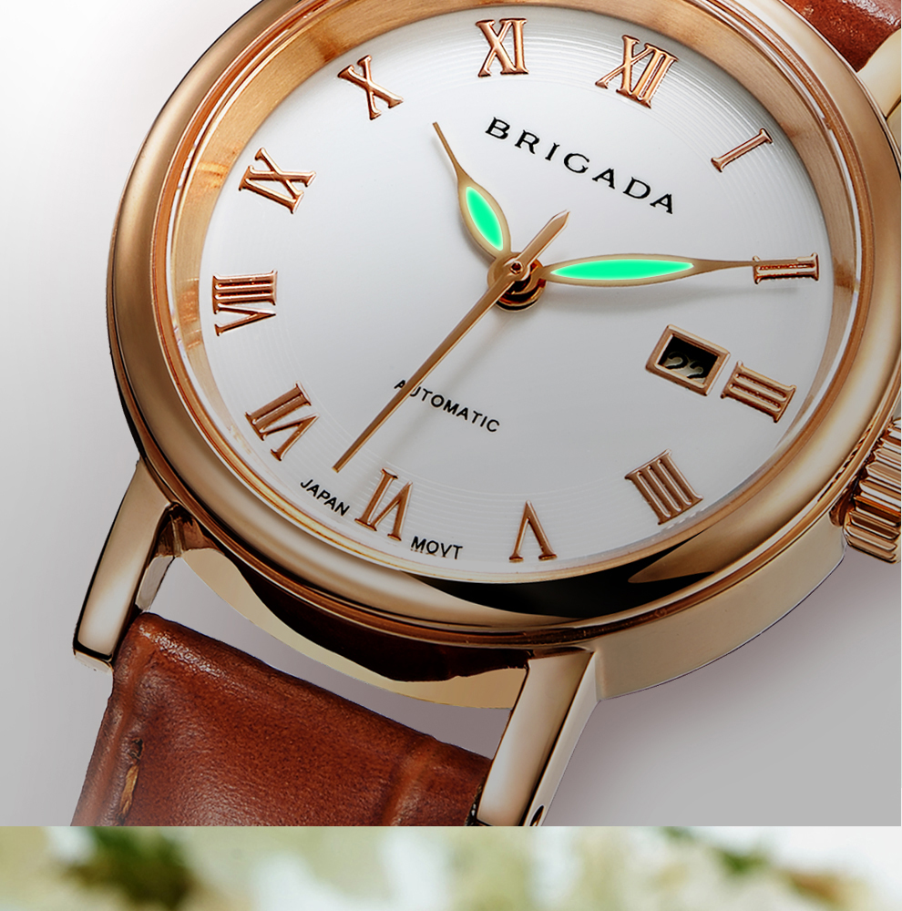 宝茄达brigada女士手表机械女表机械表手表女小表盘女式进口机芯防水