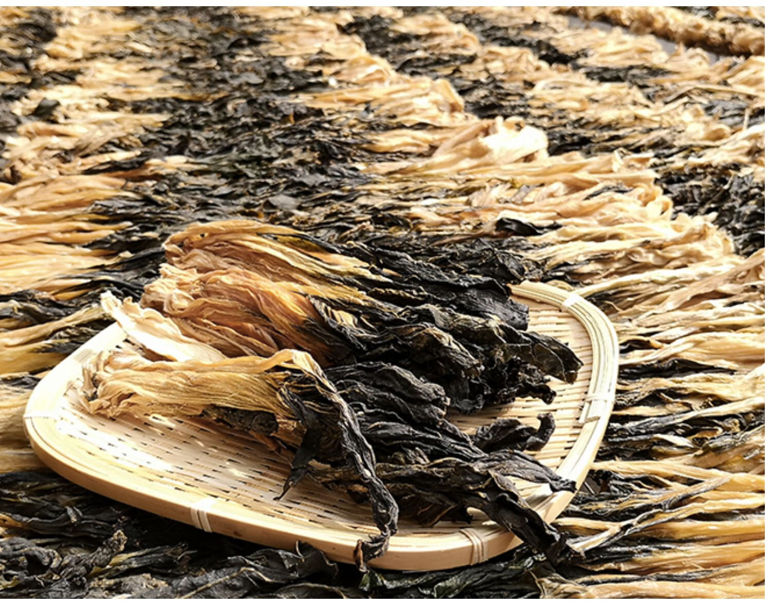 菜干1斤500g小白菜干农家自晒自制广东特产煲汤河源梅菜干货菜类