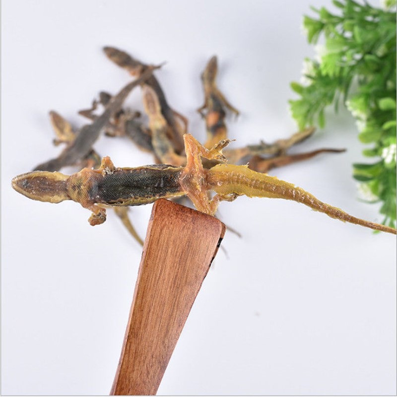伟博国产天龙中药材完整大个壁虎泡酒料天龙干货盐蛇守宫足爬墙虎粉10