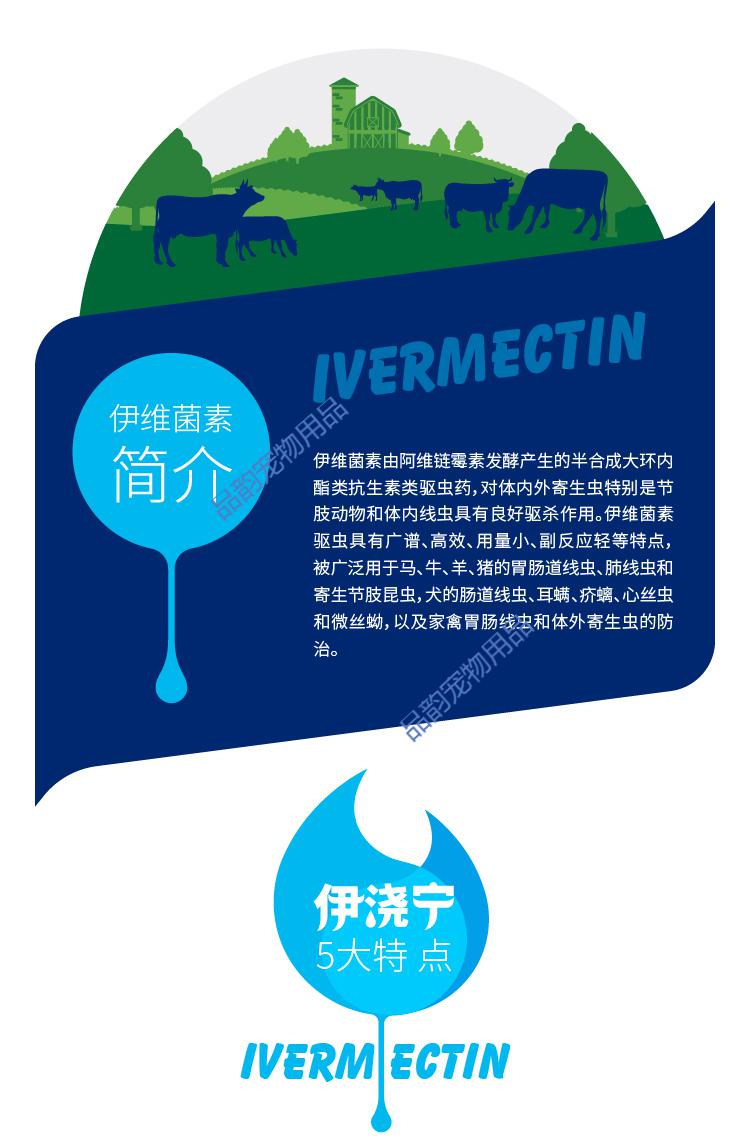 伊浇宁浇泼溶液猪药牛羊马兽用兽药驱虫药海达打虫宁500m500毫升