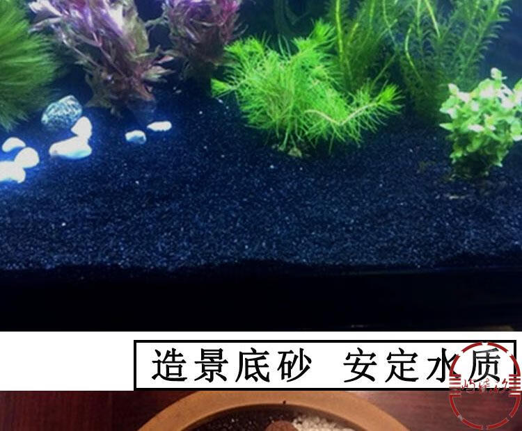 黑沙鱼缸沙底砂水草沙子 黑金沙2-4毫米目5斤约绿豆大米大小)【图片