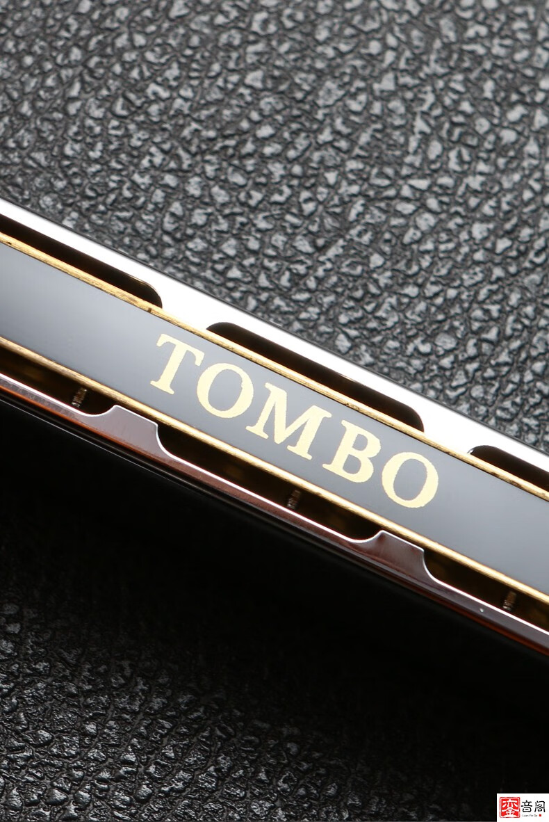 通宝6624stombo通宝口琴6624s套装12大学生用自学专业演奏级24孔复音