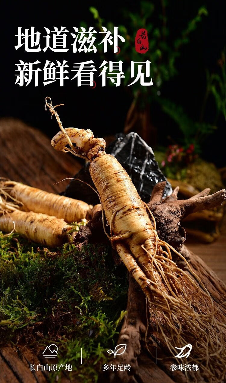 伟博新鲜西洋参现挖大个西洋参整只新鲜带土高参龄非菲野人参花旗参每