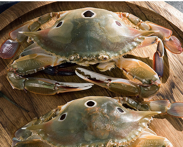 三眼蟹三点蟹红膏野生活冻红星梭子蟹鲜活冷冻冠季母螃蟹腌顺丰东山岛