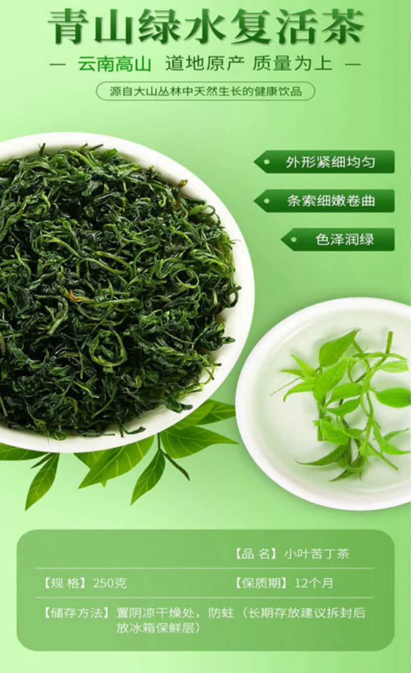 5折 【精选好物】苦丁茶野生云南高山苦丁茶小叶复活毛冬青嫩芽甘甜