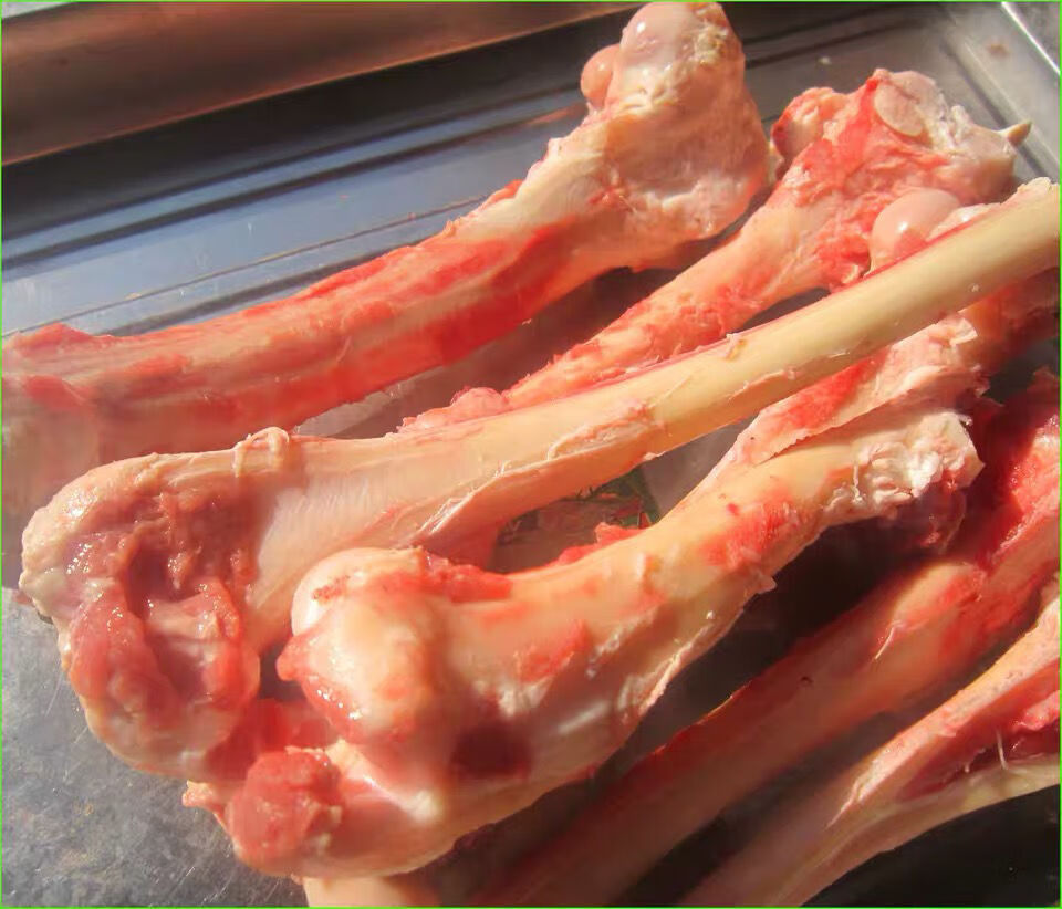 新鲜羊腿骨新鲜羊骨头羊棒骨羊筒骨羊大骨量大价优3斤