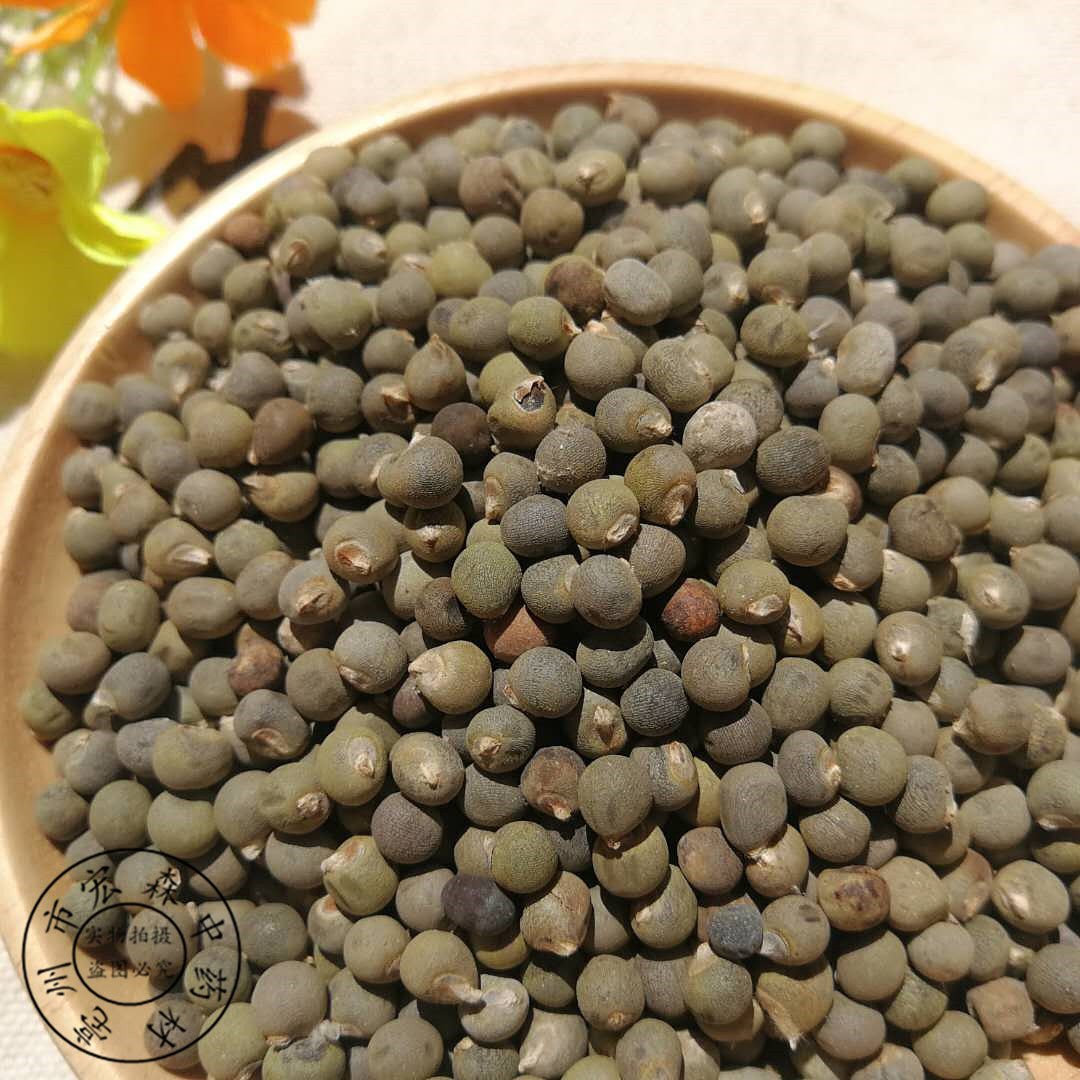伟博中药材秋葵种子黄秋葵种子秋葵籽新货黄蜀秋葵子500克1500克