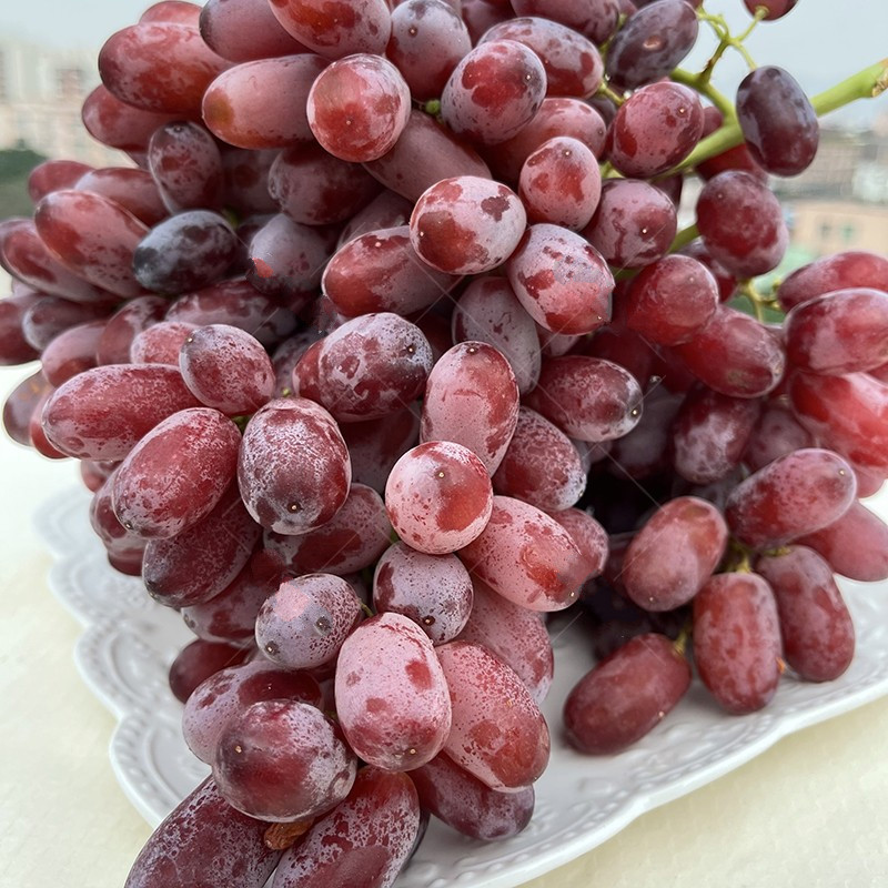 青樱红荔顺丰空运智利美人指红提2斤甜手指提子无籽葡萄新鲜时令水果