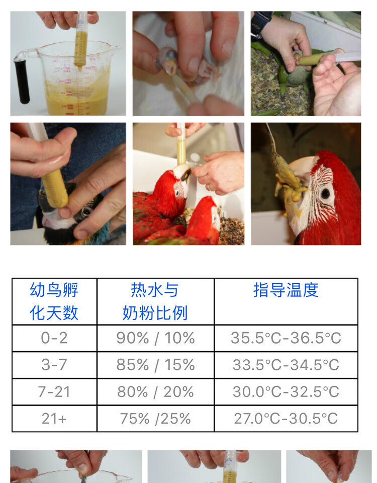 哈根哈利鹦鹉幼鸟奶粉雏鸟饲料高营养易吸收0天手养配方全鸟种250克