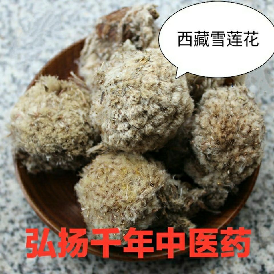 藏雪莲图片和功效图片