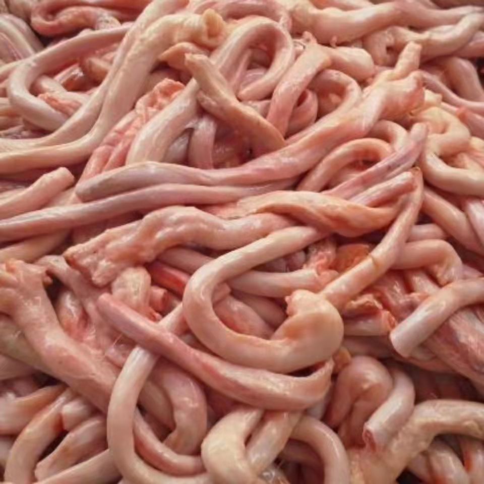 【新鲜猪鞭】新鲜猪鞭猪生殖器现杀现发去油猪鞭烧烤食材保密发货