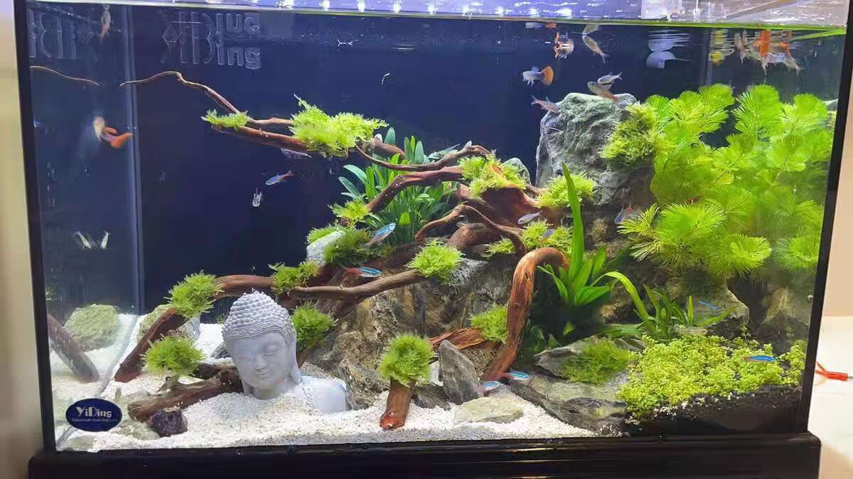 现货直发新中式禅意水泥佛头像鱼缸装饰品水族箱造景沉水摆件家居桌面