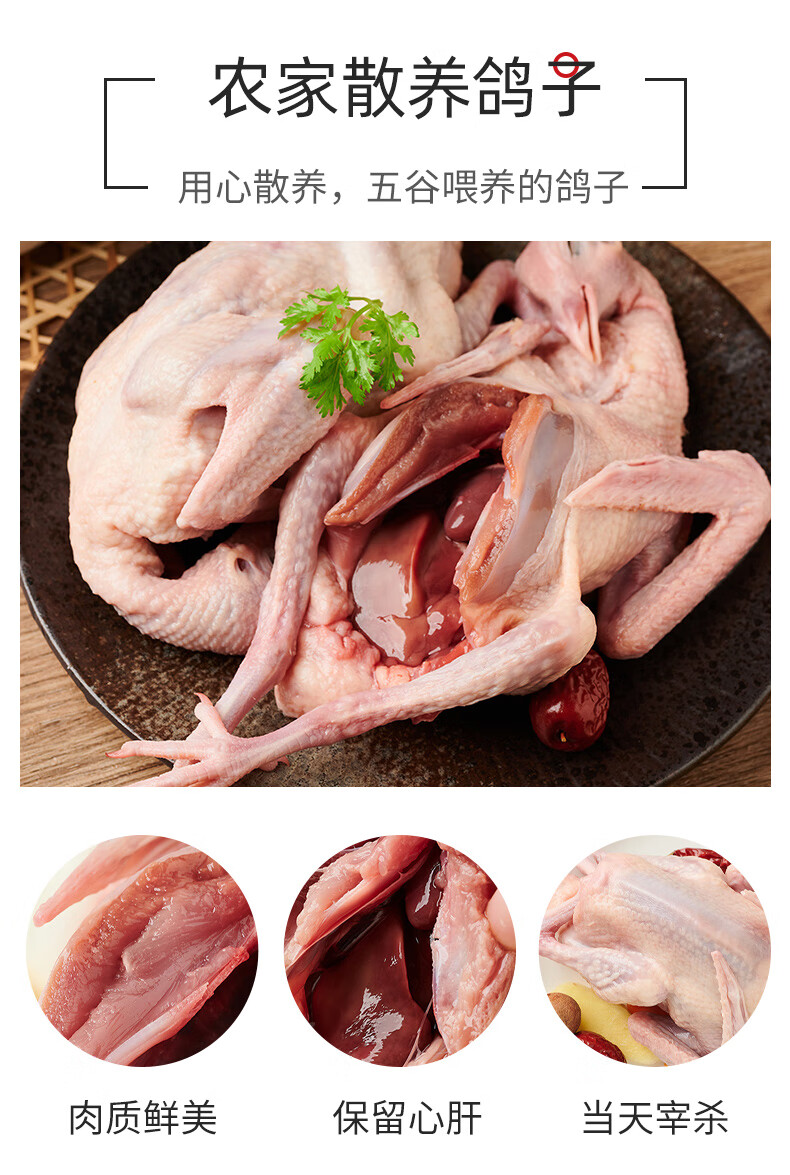 鴿子肉新鮮乳鴿 農家散養老鴿子雜糧餵養 5只裝(350g/每隻)【圖片 價